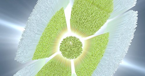 Philips Sonicare Genuine W DiamondClean Toothbrush Heads,